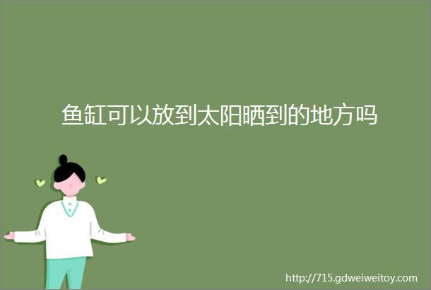 鱼缸可以放到太阳晒到的地方吗